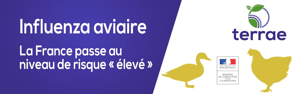 2112_Grippe-aviaire